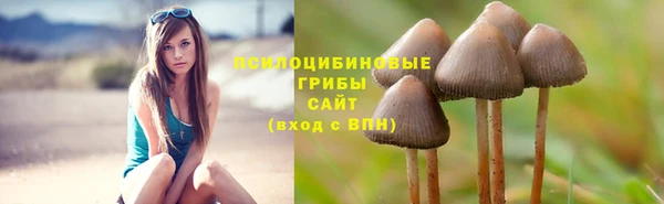 мдпв Медвежьегорск