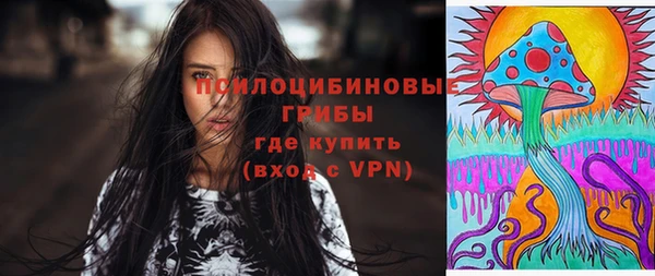 мдпв Медвежьегорск