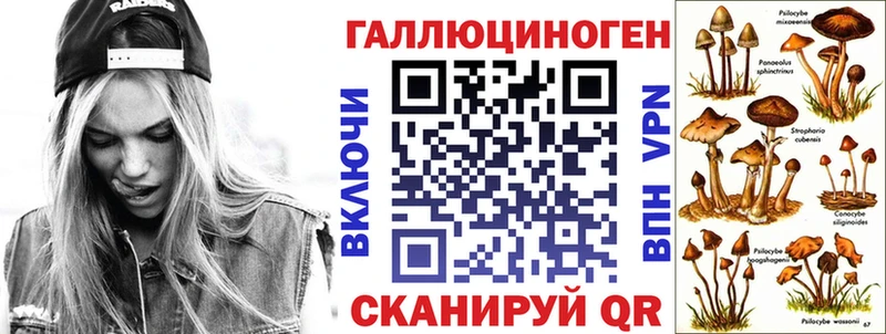 купить закладку  Снежинск  Галлюциногенные грибы GOLDEN TEACHER 